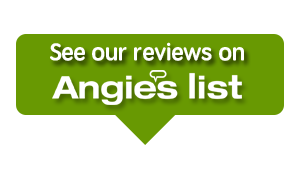 angieslist-reviews